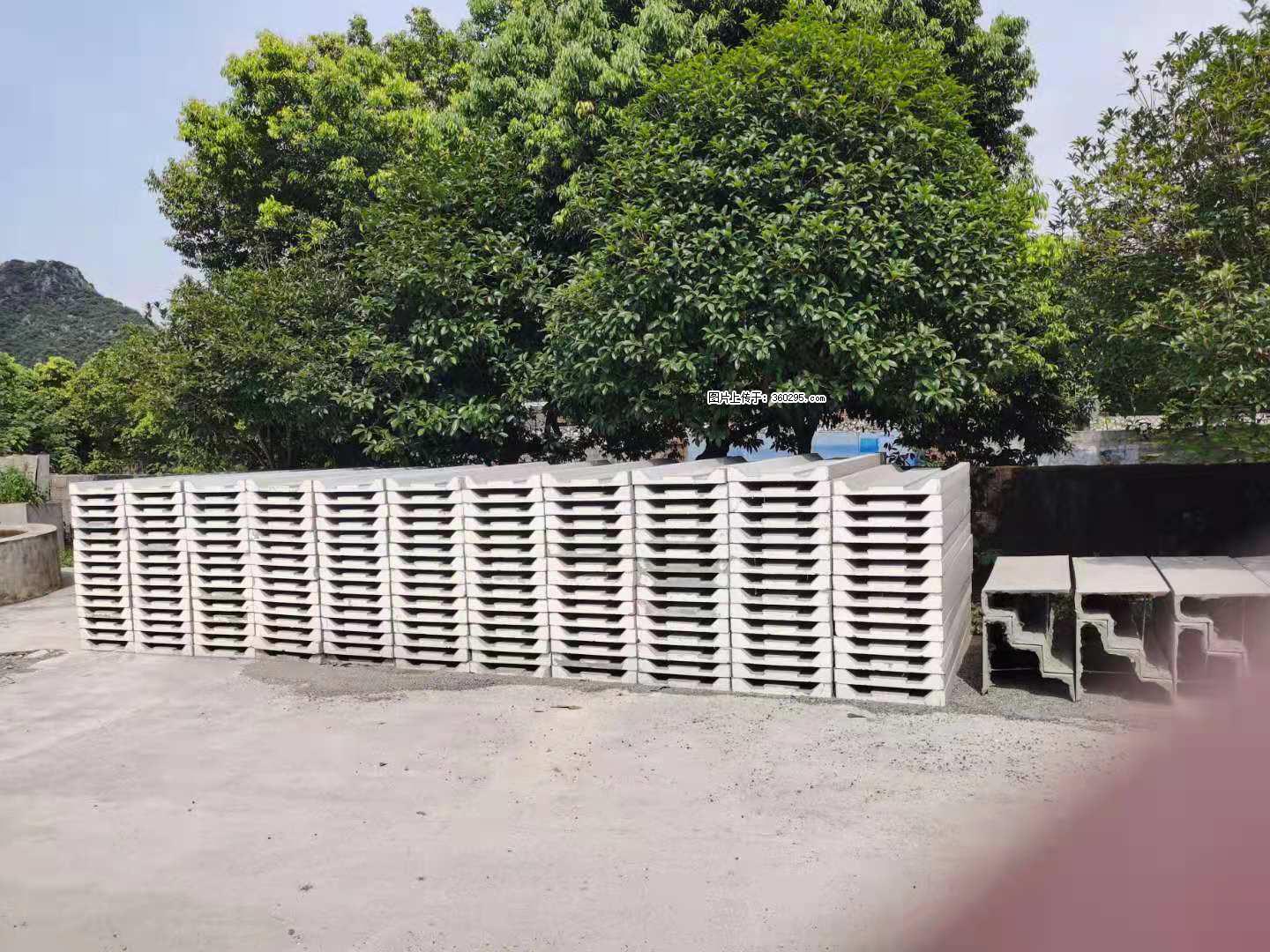 三象公司厂部产品(10) - 北海三象EPS建材 bh.sx311.cc